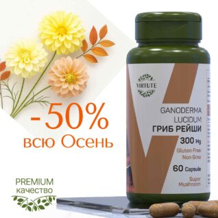 GANODERMA LUCIDUM ГРИБ РЕЙШИ