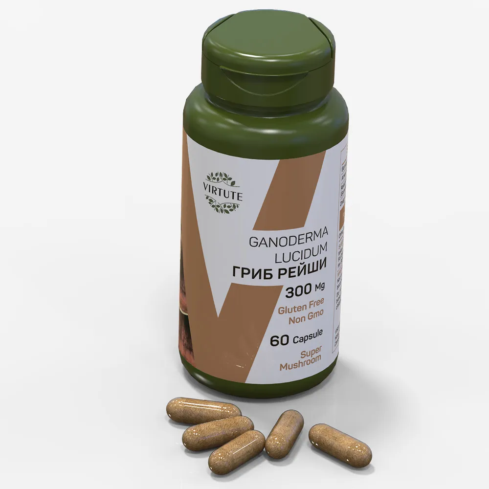 GANODERMA LUCIDUM ГРИБ РЕЙШИ