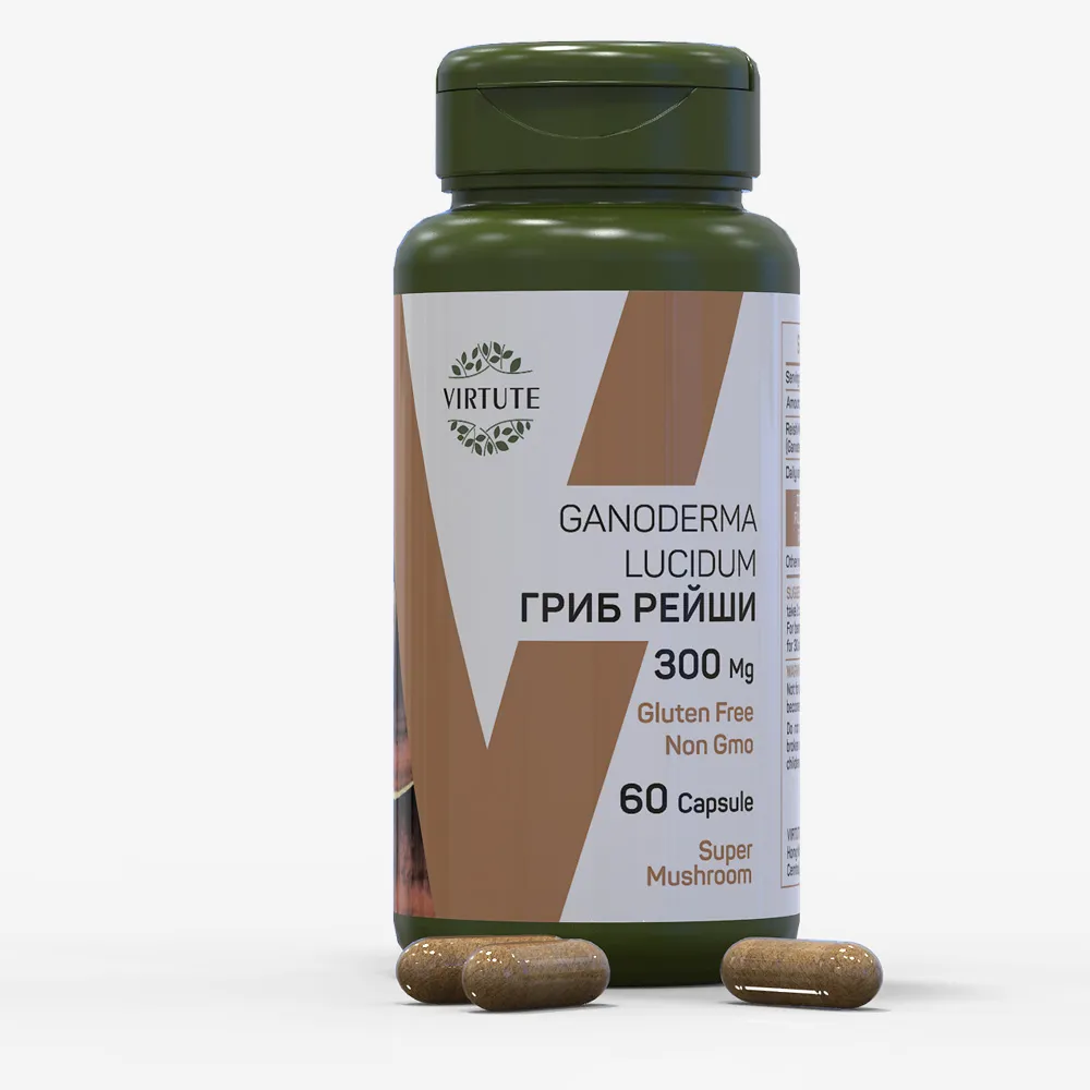 GANODERMA LUCIDUM ГРИБ РЕЙШИ