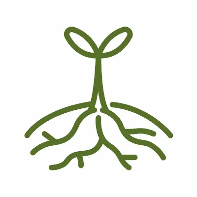 Коренья