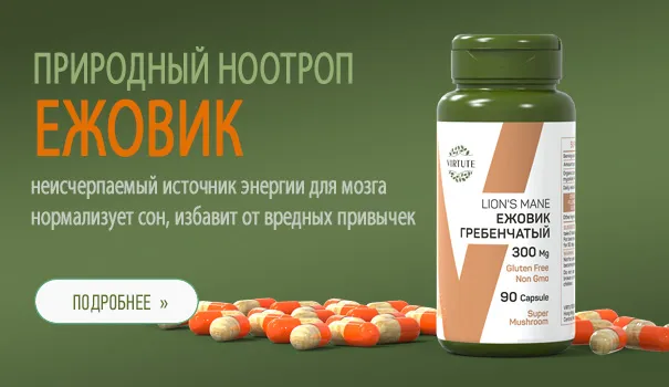 Ежовик от VIRTUTE
